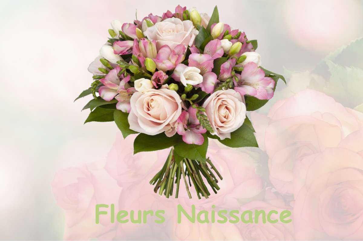 fleurs naissance VILLARD-SUR-BIENNE