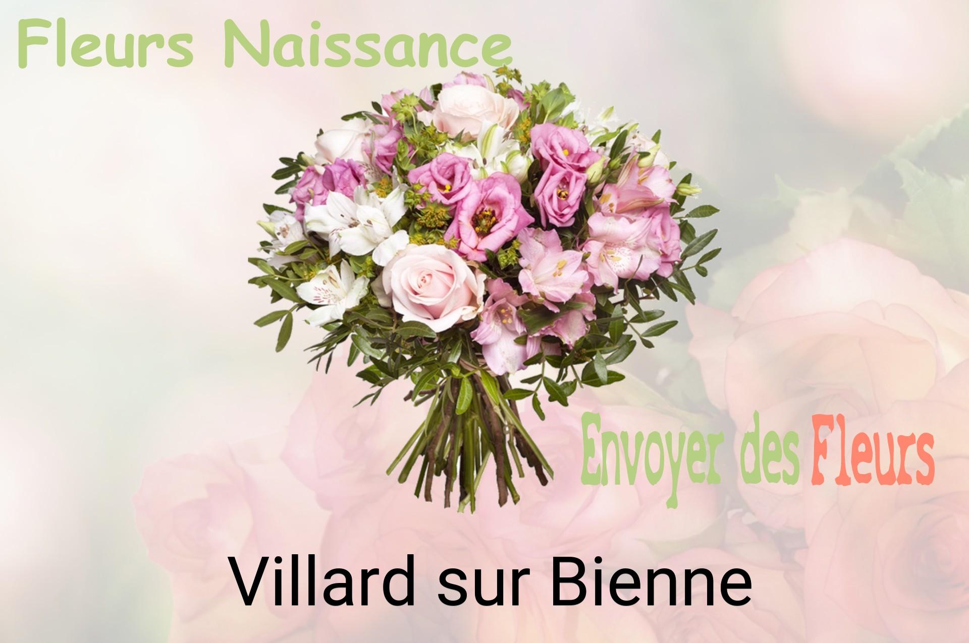 Bouquet de fleurs de naissance livré à Villard-sur-Bienne
