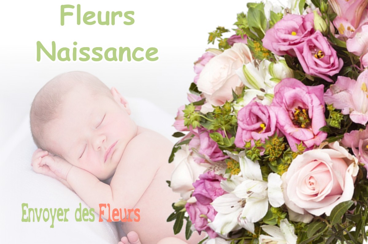 lIVRAISON FLEURS NAISSANCE à VILLARD-SUR-BIENNE